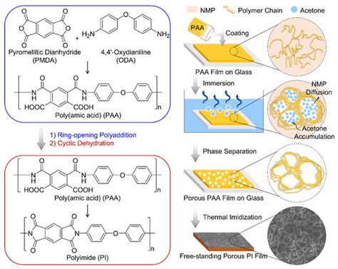 Polymer Concentration and Liquid—Liquid Demixing Time Correlation with ...