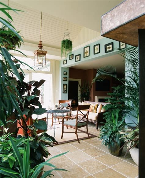Indoor Plants: 7 Most Common Symptoms of Poor Plant Health