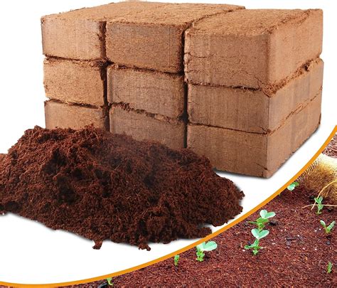 Amazon.com : 9-Pack Premium Organic Coco Coir Bricks for Plants - Low ...