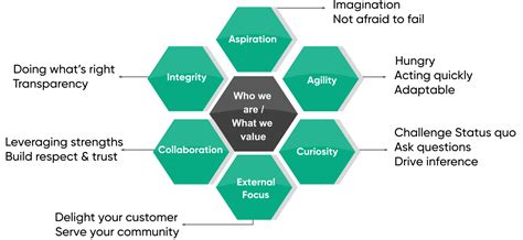 Medical Laboratory Equipment Supplier in India