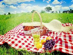 picnic 的图像结果