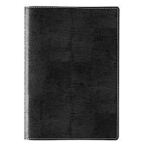 Day-Timer Weekly / Monthly Appointment Book / Planner 2017, 5-1/2 x 8-1 ...