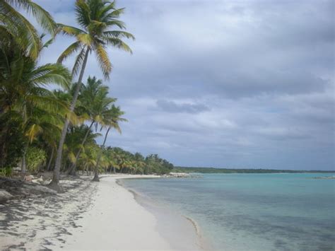 Guadeloupe Photos - Featured Images of Guadeloupe, Caribbean - Tripadvisor