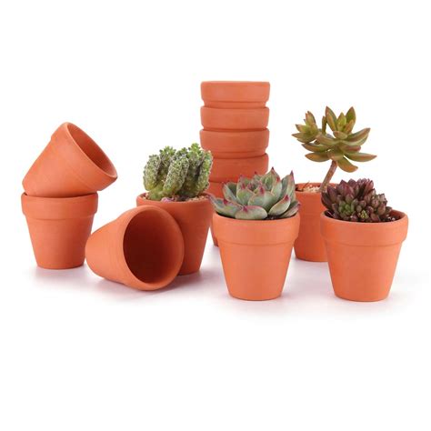 T4U 3" Terracotta Clay Pots Pack of 12 - Small Craft Nursery Cactus Pot ...