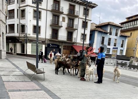La Guardia Civil detiene a un peregrino tras provocar un accidente de ...