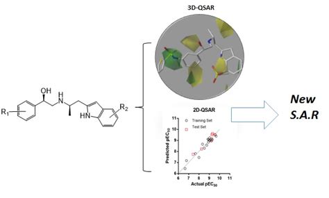 2D-QSAR and 3D-QSAR/CoMSIA Studies on a Series of (R)-2-((2-(1H-Indol-2 ...
