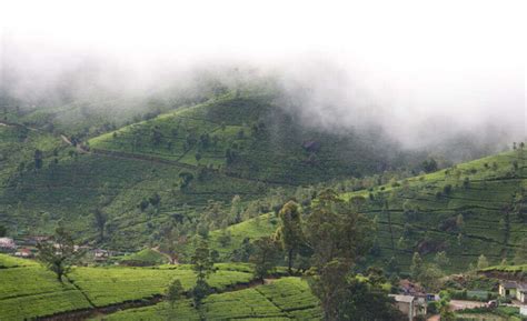 Sri Lanka's Hill Country attractions | TimesTravel