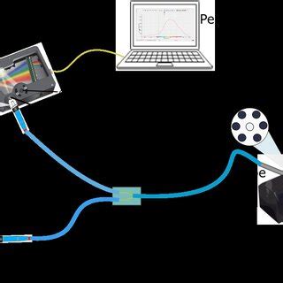 Image result for Environment Diffuse Scale Demonstration