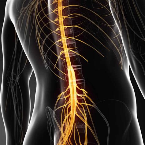 Pinched Nerve, Nerve compression: Symptoms & Treatment