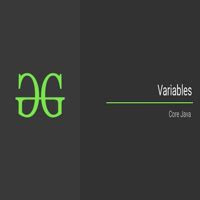 Image result for Types of Variables in Core Java