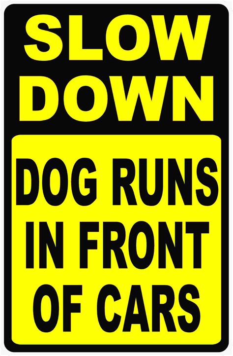 Slow Down Dog Runs in Front of Cars – Signs by SalaGraphics
