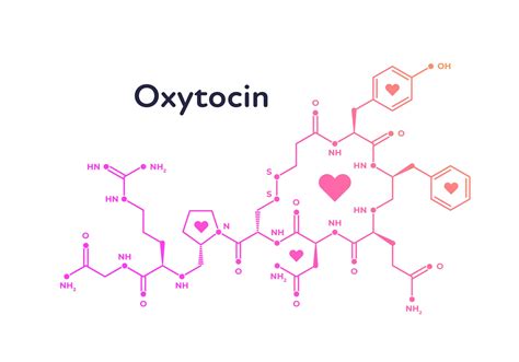 Chemical Structure Of Love Hormone