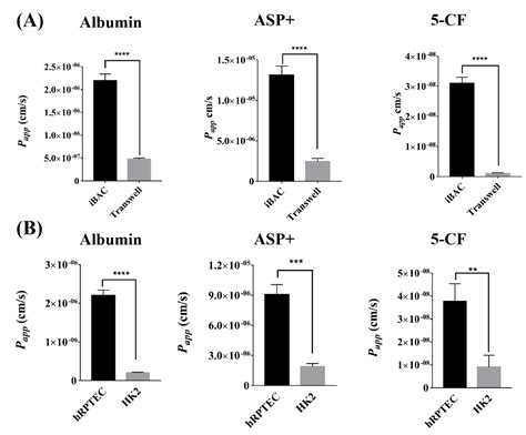 Functional Evaluation and Nephrotoxicity Assessment of Human Renal ...