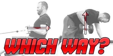 Image result for Horizontal Row Exercise