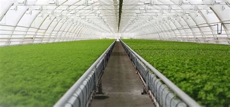 Control Panel - Mobile Starter For Pump Manufacturer from Udaipur