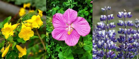 Image result for Target Store Out Line