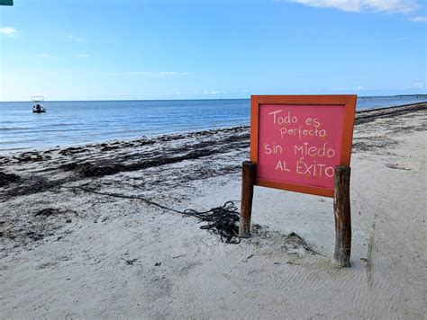 How To Get to Holbox From Cancun, Tulum, and the Rest (2023)