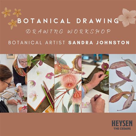 Botanical Drawing Workshop with Sandra Johnston, The Cedars, Hans ...