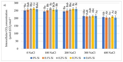 Physiological, Biochemical, and Epigenetic Reaction of Maize (Zea mays ...