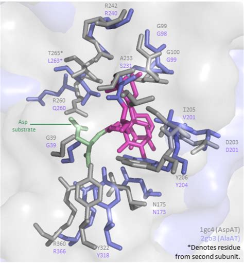 PyMOL Structure Alignment 的图像结果