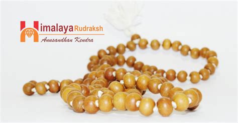 Sandalwood (Chandan) Mala | Himalaya Rudraksha Anusandhan Kendra