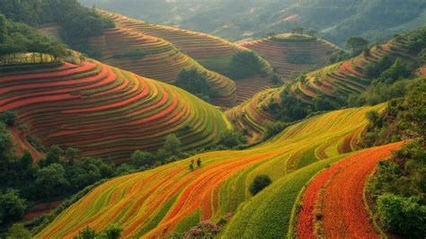 Effective Methods for Stabilizing Soil on Sloped Terrain