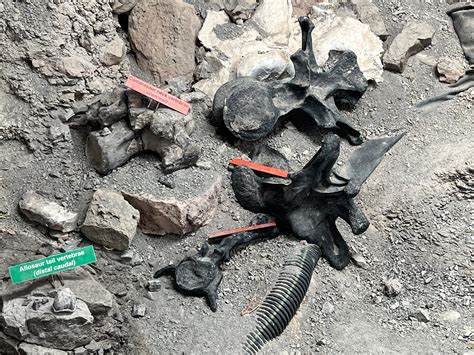 Guide to visiting the Cleveland Lloyd Dinosaur Quarry at Jurassic ...