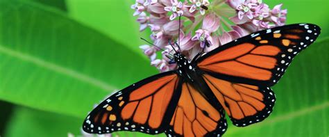 Home | Stroyan Funeral Home, Inc.