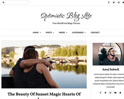 Chic Lite WordPress Theme 的图像结果