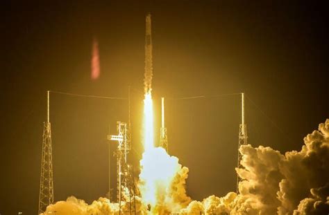 SpaceX Targets In-House GPUs as It Warns Investors of Chip Supply, Costs