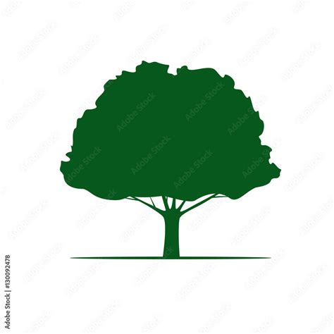 Tree Vector 的图像结果