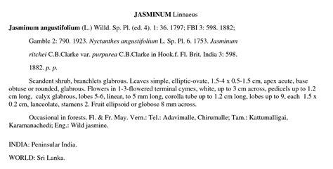 Herbarium JCB