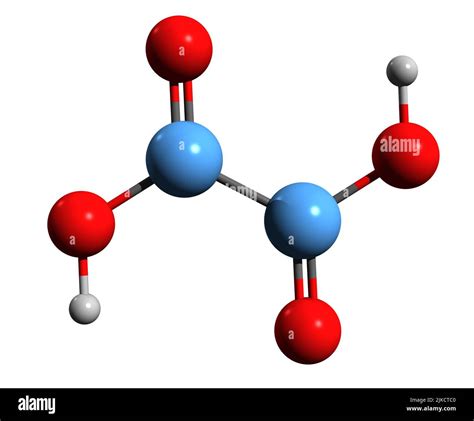 3D image of Oxalic acid skeletal formula - molecular chemical structure of organic acid isolated ...
