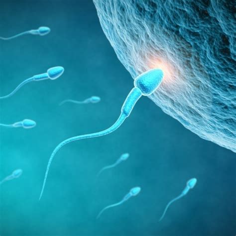 6 Ways To Improve & Increase Sperm Quality - SKIN ELEMENTS