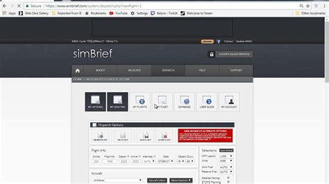 Simbrief Tutorial 的图像结果