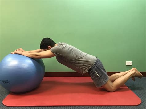 Image result for Contralateral Exercise Ball