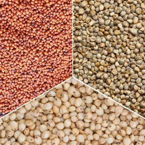 Mixed Millet Flour - 500gm Mixed Millet Flour Manufacturer from Chennai