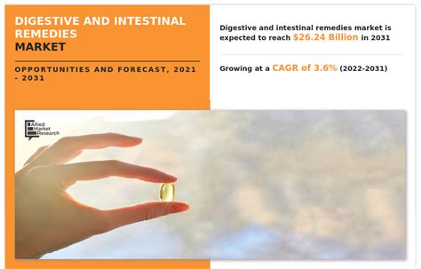 Digestive & Intestinal Remedies Market Growth Insights By 2031