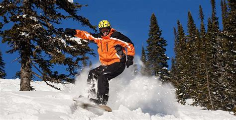 Snowboard Tips 的图像结果