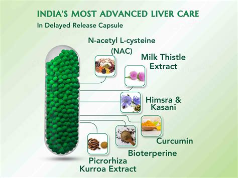 Buy WishNew Wellness Liver Care Cleanse & Detoxify Capsule Online at ...