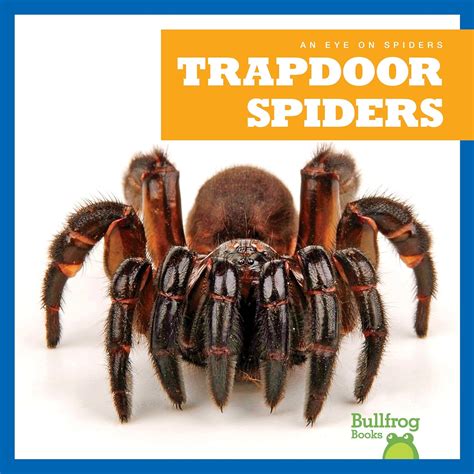 Trapdoor Spiders (Eye on Spiders) : Spanier, Kristine: Amazon.in: Books