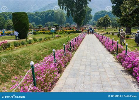 Nishat Garden, Srinagar, Jammu and Kashmir Editorial Stock Image - Image of summer, destination ...