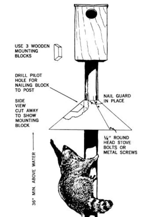 Image result for How to Print an Array Python