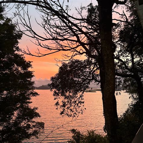 WAYANAD SILVERWOODS RESORT (Padinjarathara) - Hotel Reviews, Photos ...