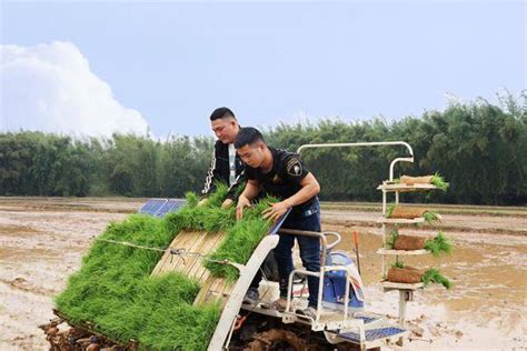 春耕备耕早 奋战开门红丨听听种粮大户的新春愿景_腾讯新闻