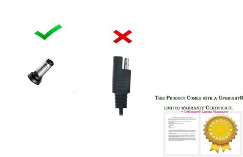 Buy UpBright 6V AC/DC Adapter Compatible with D.C.6V Disney Sofia The ...