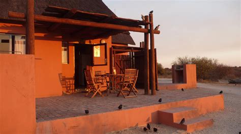 NOSSOB REST CAMP (Kgalagadi Transfrontier Park) - Lodge Reviews ...