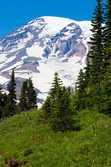 Washington 的图像结果