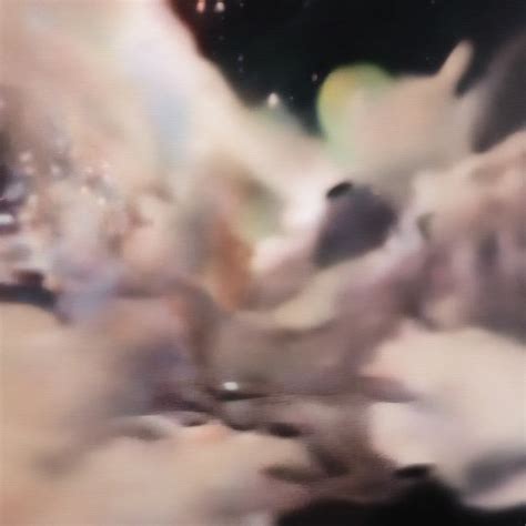 Image result for Understanding Space-Time