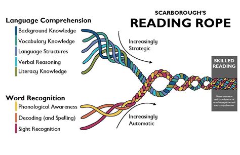 Science Of Reading Rope at Jeremy Hilyard blog